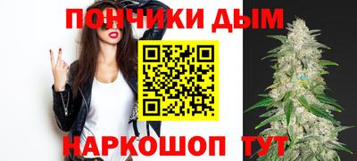 шишки Изобильный